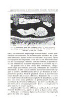 giornale/CFI0360651/1939/unico/00000559