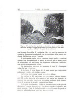 giornale/CFI0360651/1939/unico/00000562