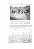 giornale/CFI0360651/1939/unico/00000564