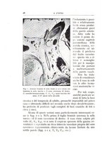 giornale/CFI0360651/1940/unico/00000034