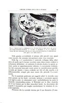 giornale/CFI0360651/1940/unico/00000035