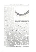 giornale/CFI0360651/1940/unico/00000037