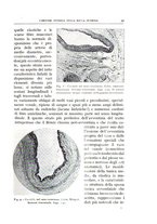 giornale/CFI0360651/1940/unico/00000039
