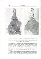 giornale/CFI0360651/1940/unico/00000188