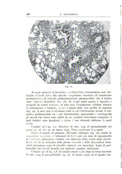 L'oto-rino-laringologia italiana