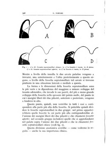 L'oto-rino-laringologia italiana