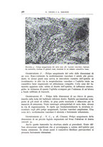 giornale/CFI0360651/1940/unico/00000378