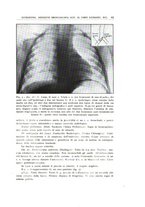 giornale/CFI0360651/1941/unico/00000033