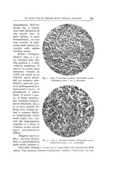 L'oto-rino-laringologia italiana