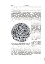 giornale/CFI0360651/1941/unico/00000278