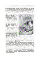 giornale/CFI0360651/1941/unico/00000317