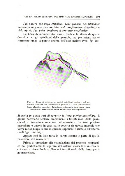 L'oto-rino-laringologia italiana