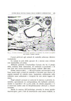 giornale/CFI0360651/1941/unico/00000501