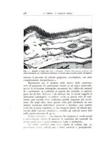 giornale/CFI0360651/1941/unico/00000502