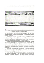 giornale/CFI0360651/1941/unico/00000503