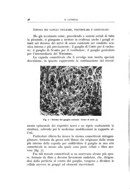 L'oto-rino-laringologia italiana