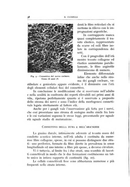 L'oto-rino-laringologia italiana