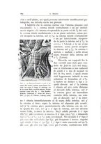 giornale/CFI0360651/1942/unico/00000114