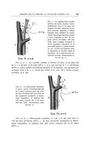 giornale/CFI0360651/1942/unico/00000133