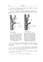 giornale/CFI0360651/1942/unico/00000136