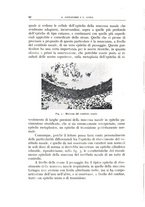 giornale/CFI0360651/1943/unico/00000020