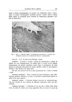 giornale/CFI0360651/1943/unico/00000129