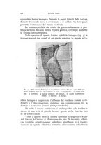 giornale/CFI0360651/1943/unico/00000154