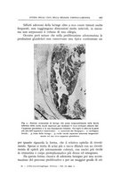 giornale/CFI0360651/1943/unico/00000159