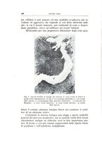 giornale/CFI0360651/1943/unico/00000160