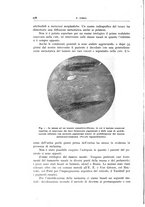 giornale/CFI0360651/1943/unico/00000214