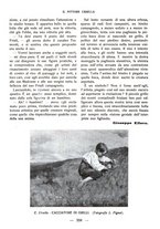 giornale/CFI0360836/1924/unico/00000401