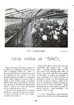 giornale/CFI0360836/1924/unico/00000424