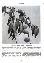 giornale/CFI0360836/1924/unico/00000426