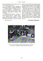 giornale/CFI0360836/1928/unico/00000035