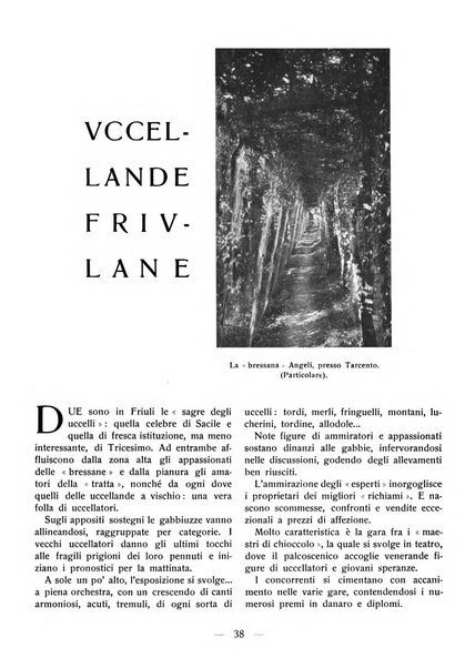 La panarie rivista friulana d'arte e di cultura