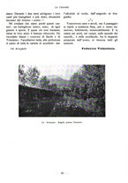 giornale/CFI0360836/1928/unico/00000046