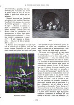 giornale/CFI0360836/1928/unico/00000141