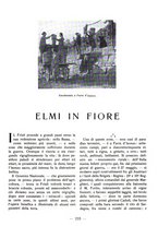 giornale/CFI0360836/1928/unico/00000249