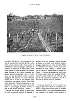 giornale/CFI0360836/1928/unico/00000253