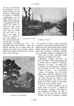 giornale/CFI0360836/1929/unico/00000310