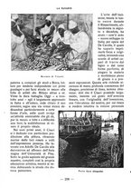 giornale/CFI0360836/1931/unico/00000278