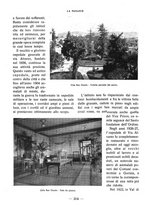 giornale/CFI0360836/1931/unico/00000338