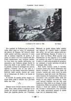 giornale/CFI0360836/1931/unico/00000421