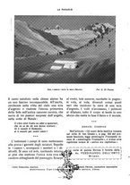 giornale/CFI0360836/1934/unico/00000342