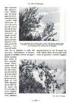 giornale/CFI0360836/1938/unico/00000109