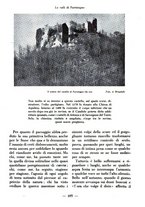 giornale/CFI0360836/1938/unico/00000111