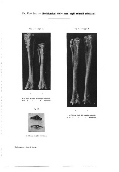 Pathologica rivista quindicinale