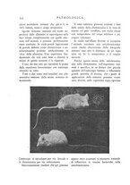 giornale/CFI0361052/1908-1909/unico/00000374