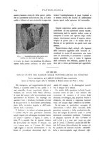 giornale/CFI0361052/1908-1909/unico/00000656