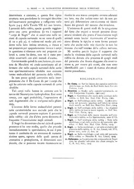 Pathologica rivista quindicinale